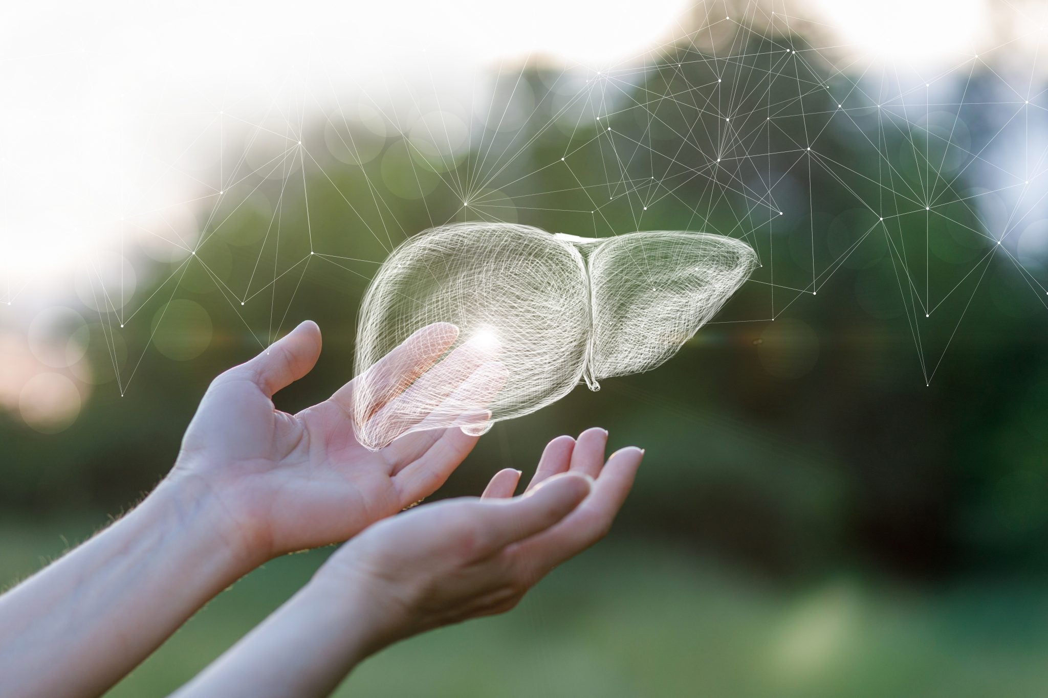 3 niezbędne zioła dla zdrowia wątroby + jak je stosować